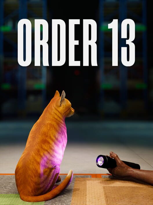ORDER 13
