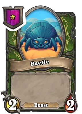 Beetle Card Image