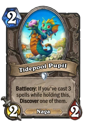 Tidepool Pupil Card Image