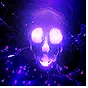 Dark Pact