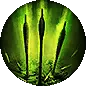 Multishot I