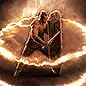Resonating Shield