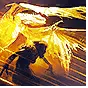 Wing Blast