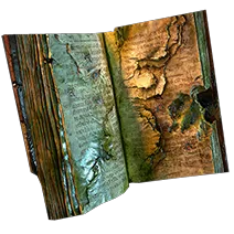 [DNT] Dominus Library Book