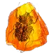 Fundamental Fossil