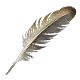 Rainbow Toucan Feather