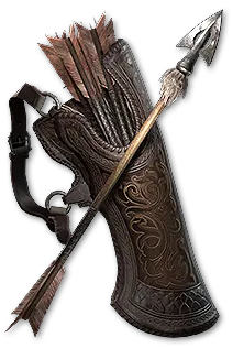 Random Quiver