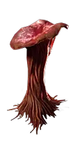 Red Mushroom