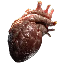 Sacrificial Heart