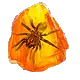 Shuddering Fossil