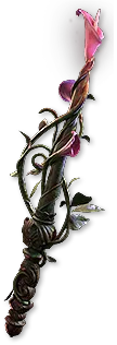 Lifesprig