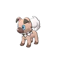Rockruff Own Tempo
