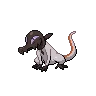 Salandit Shiny