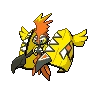 Tapu Koko
