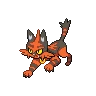 Torracat
