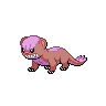 Yungoos Shiny