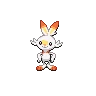 Scorbunny