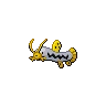 Barboach Shiny