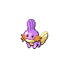 Mudkip Shiny