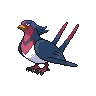 Swellow