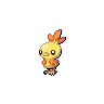 Torchic Shiny