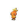 Torchic