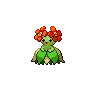 Bellossom