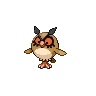 Hoothoot