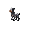 Houndour