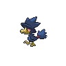 Murkrow