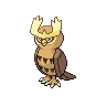 Noctowl
