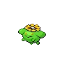 Skiploom