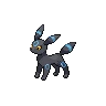 Umbreon Shiny