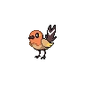 Fletchling Shiny
