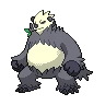 Pangoro