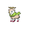 Skiddo Shiny
