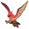 Talonflame Shiny