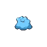 Ditto Shiny