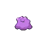 Ditto