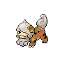 Growlithe Hisui Shiny