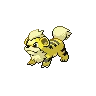 Growlithe Shiny