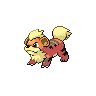 Growlithe