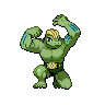 Machoke Shiny