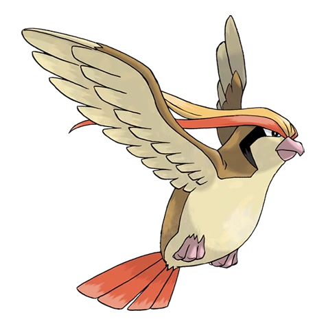 Pidgeot - Pokemon #0018 - Out of Games