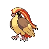 Pidgeot