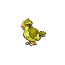 Pidgey Shiny