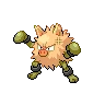Primeape Shiny