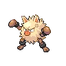 Primeape
