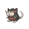 Raticate Alola