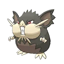 Raticate Totem Alola
